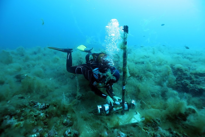 Etat écologique du Golfe de Saint-Tropez par acoustique passive