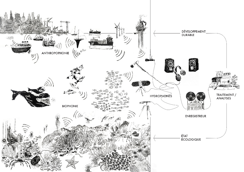 Ecosystème et mesures